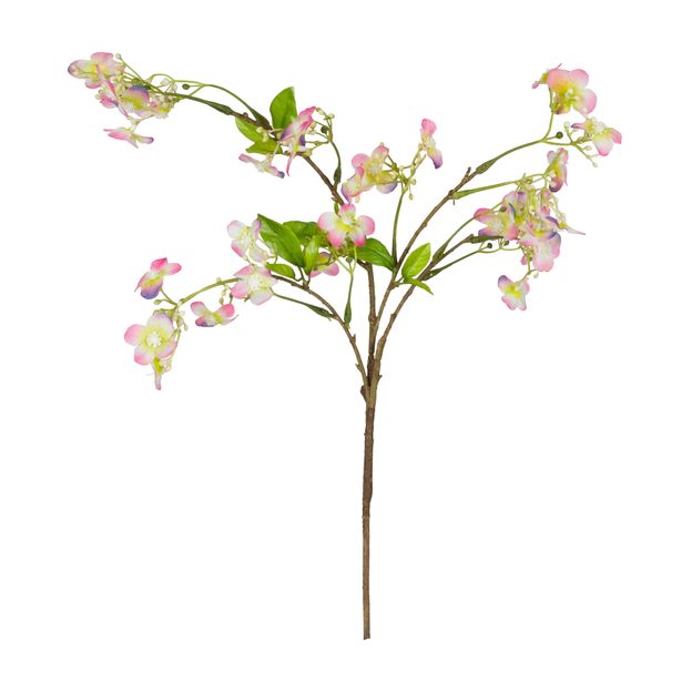 FLOR SPELLO