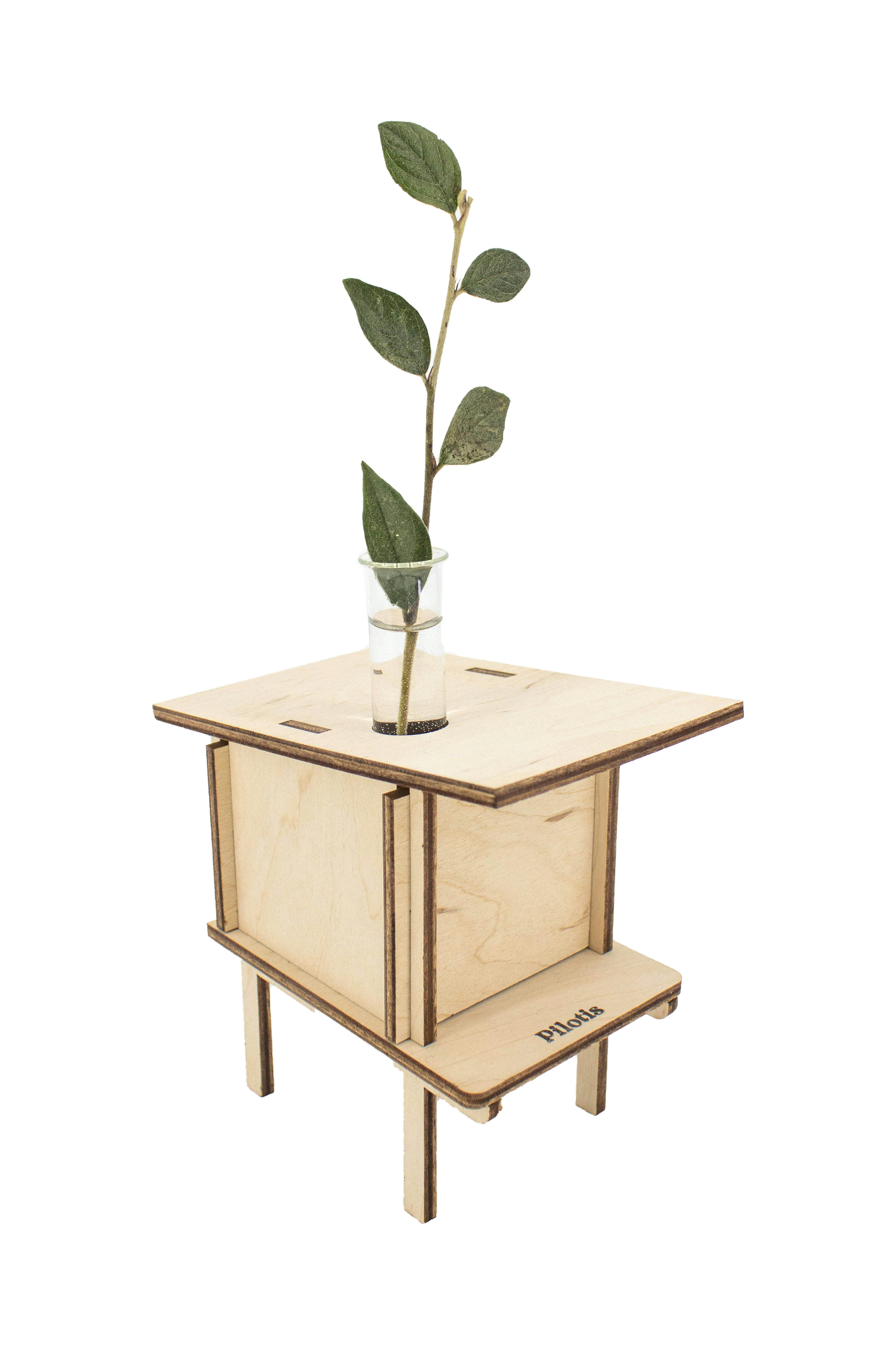 PILOTIS - Vase en bois de bouleau à monter et éprouvette en verre