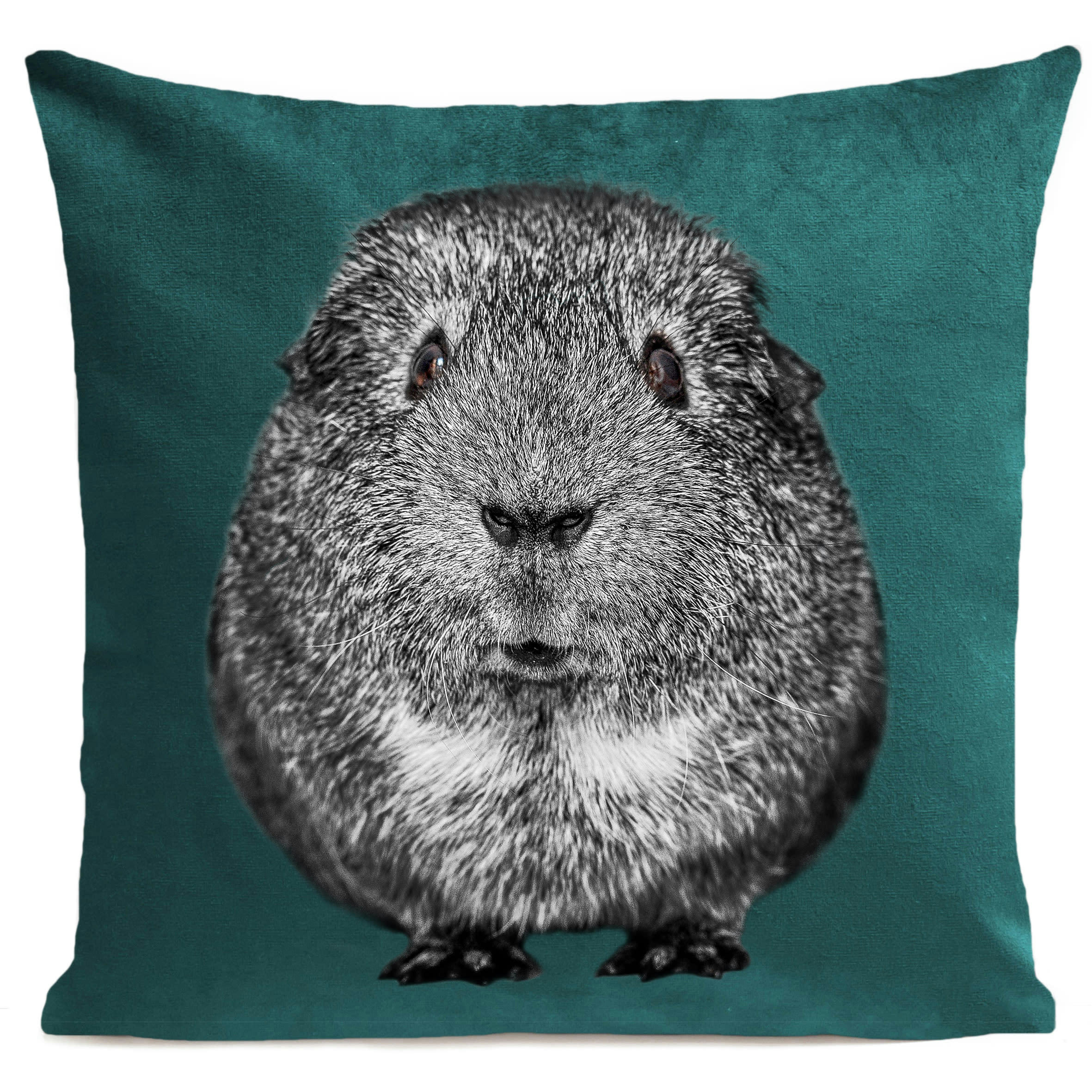 - Coussin enfant cochon d'inde suédine vert 40x40cm