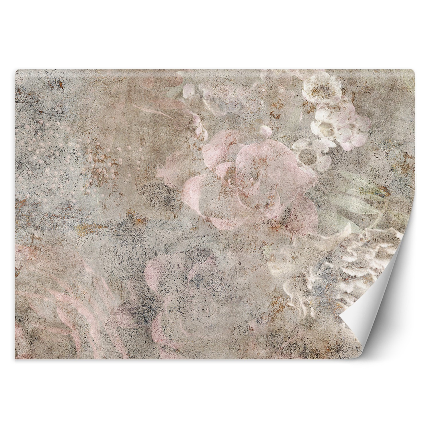 Feeby Fototapeta, Beton kwiat róży boho 150x105