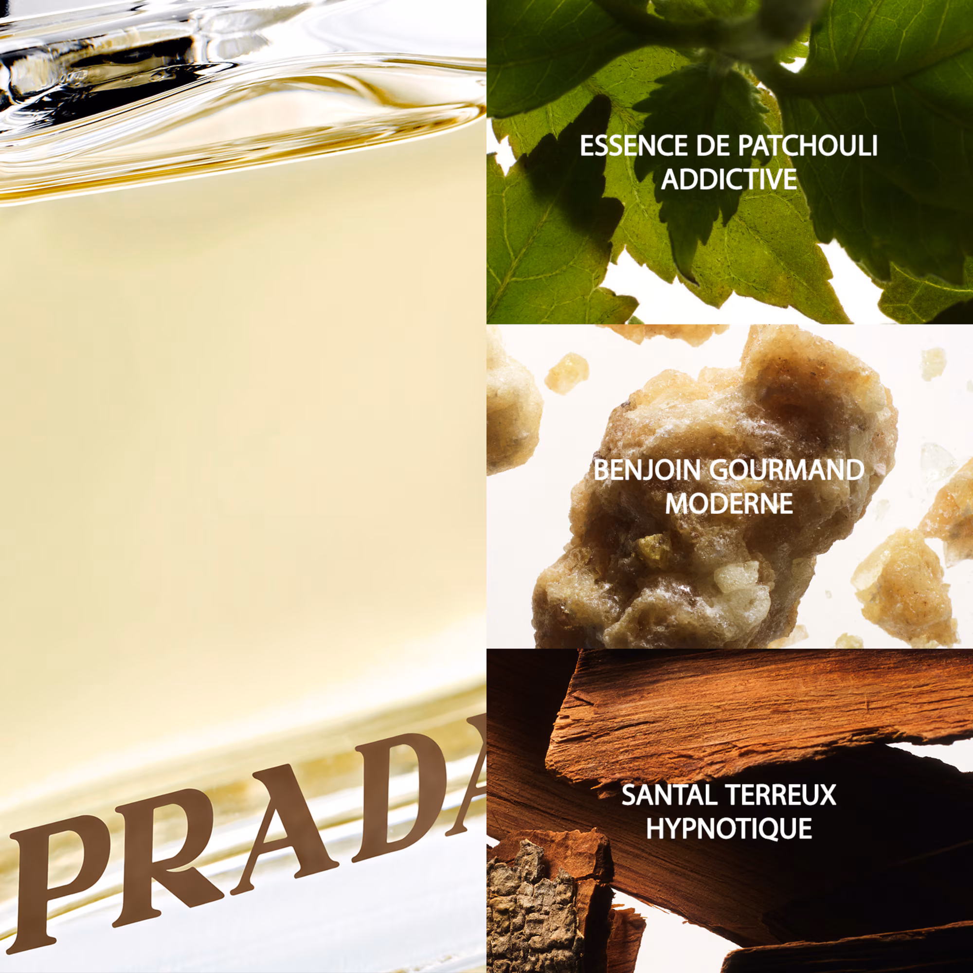 AMBER WOMANEau de parfum