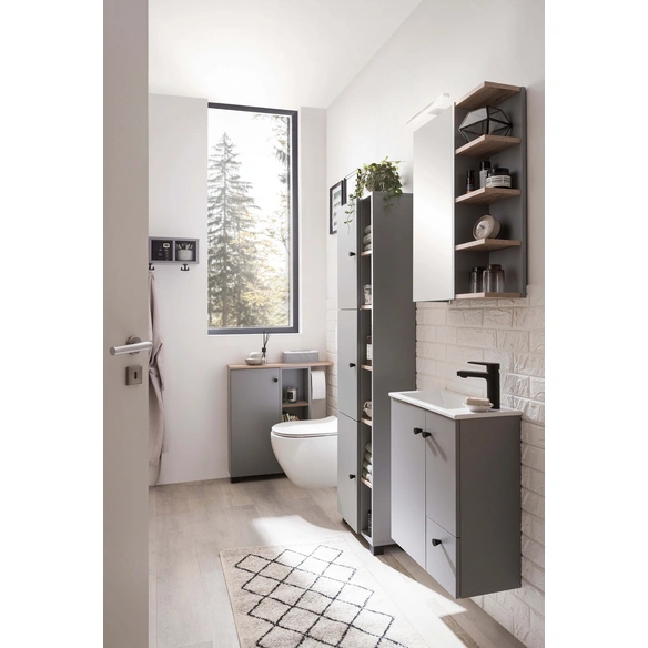 LED-Spiegelschrank »Lugo«, BxH: 49,7 x 74,8 cm, platingrau