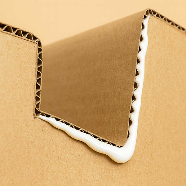 Colle Universelle - 5 L - Codeve Bois - Pour L'assemblage Polyvalent D'un Cuir, Tissu, Bois, Liège, Mousse Ou Carton.