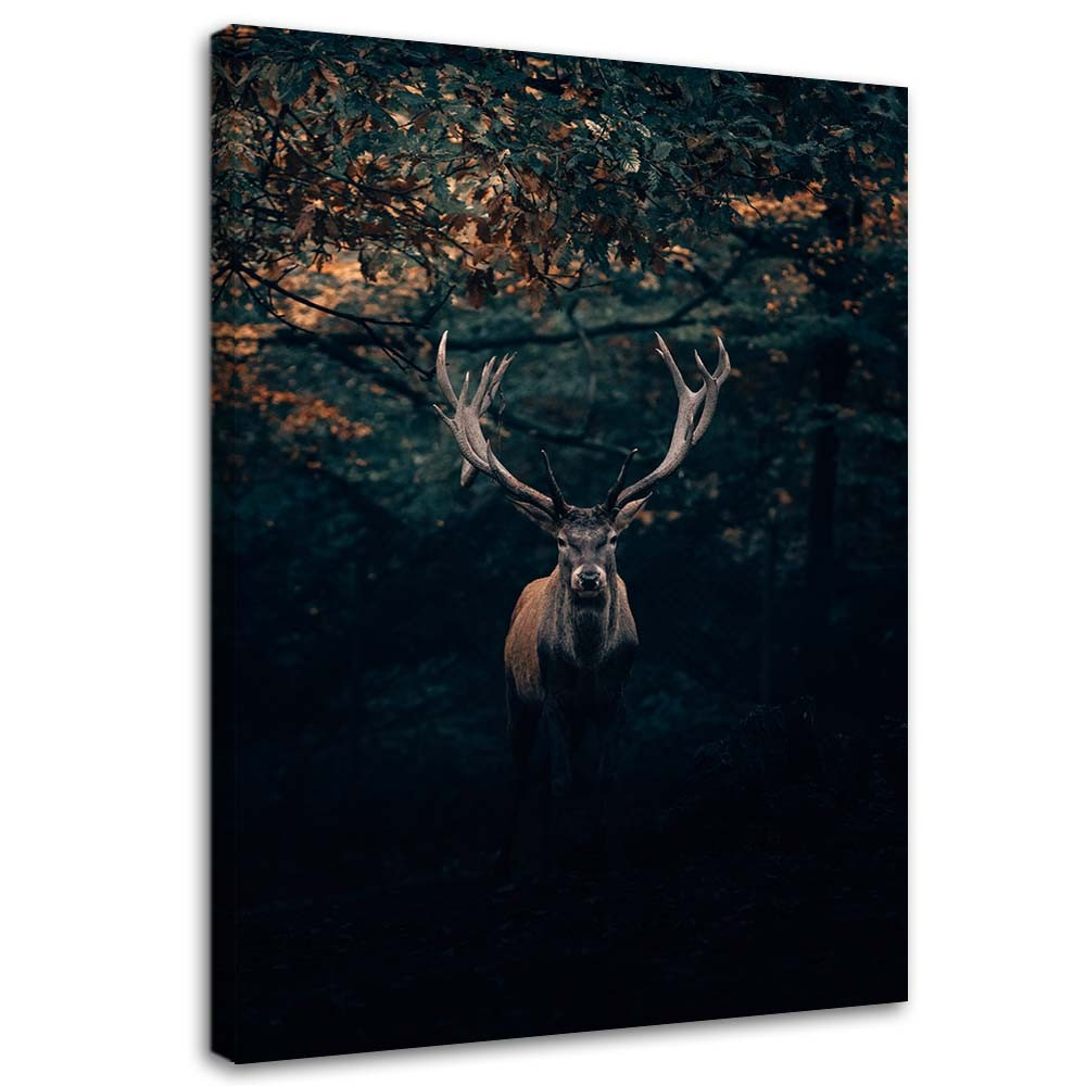 Feeby Obraz na płótnie Jeleń w zaroślach 40x60
