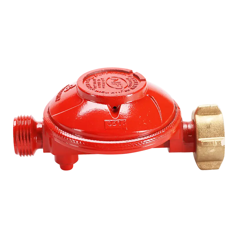 Gas-Regulator Zubehör