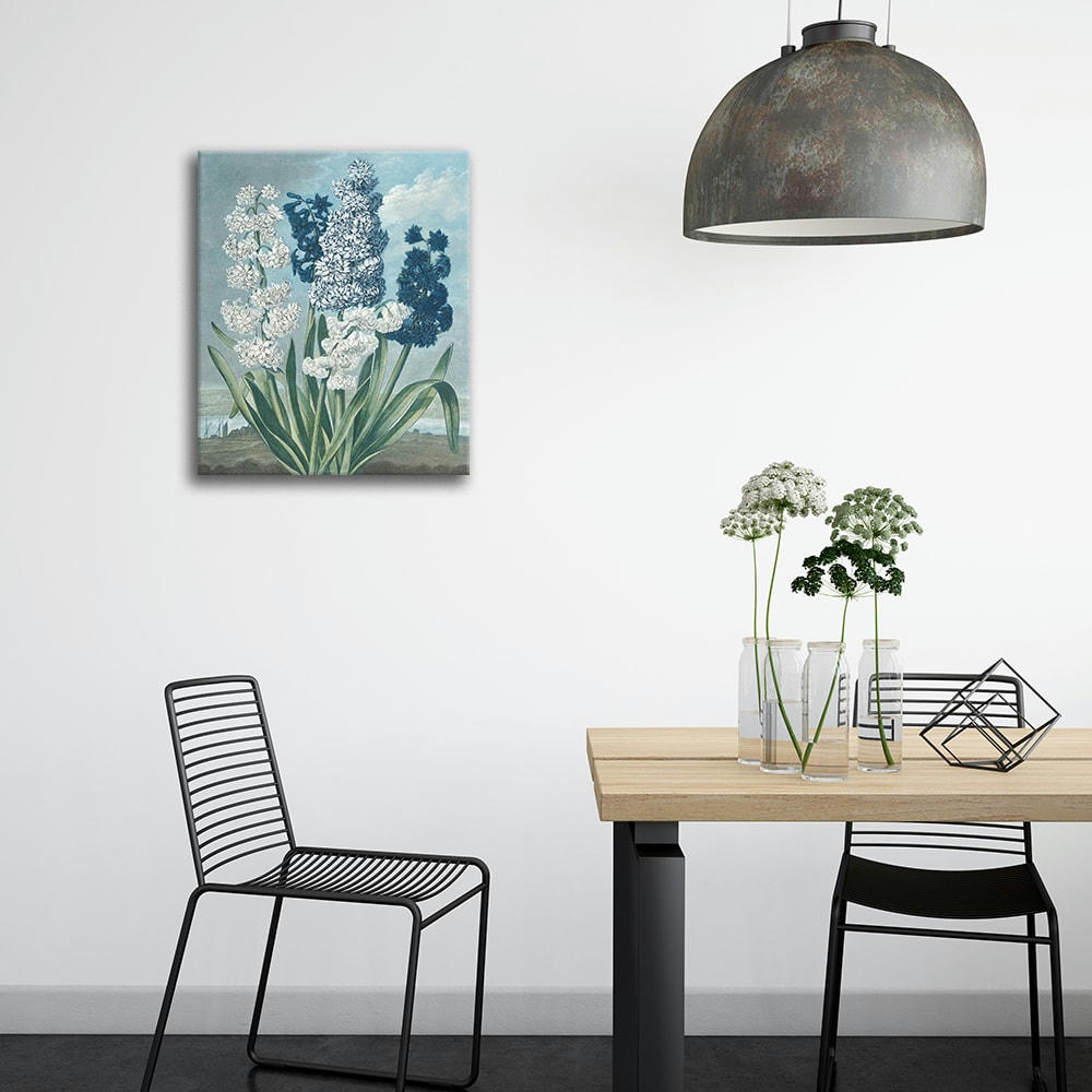 - Tableau - Jacinthes - Thomas Warner 60x80cm