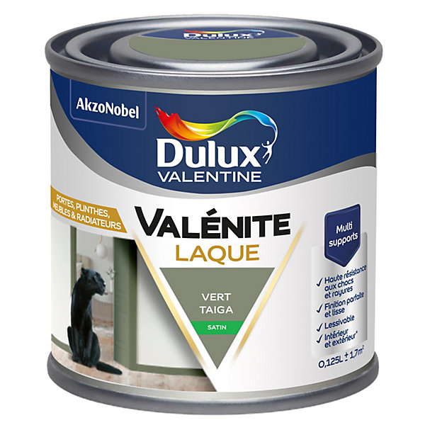 Laque acrylique vert taiga satin Dulux Valentine Valénite 125 ml