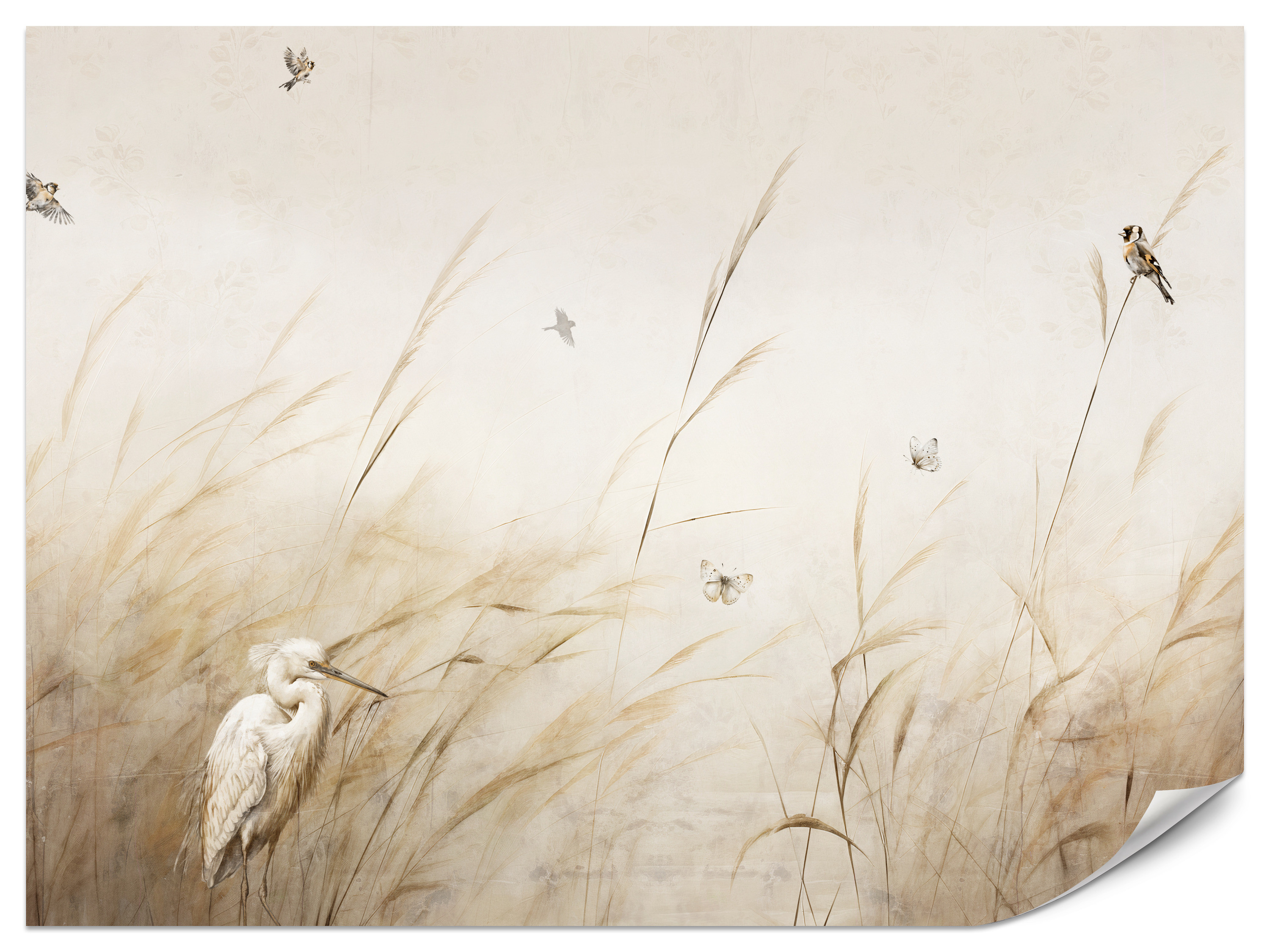 Fototapeta Ptaki pośród wysokich traw 200x140cm