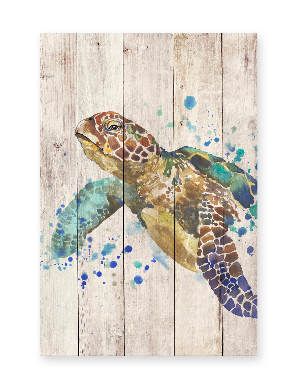 Really Nice Things - Paneel - 60x40 cm - Watercolor Turtle