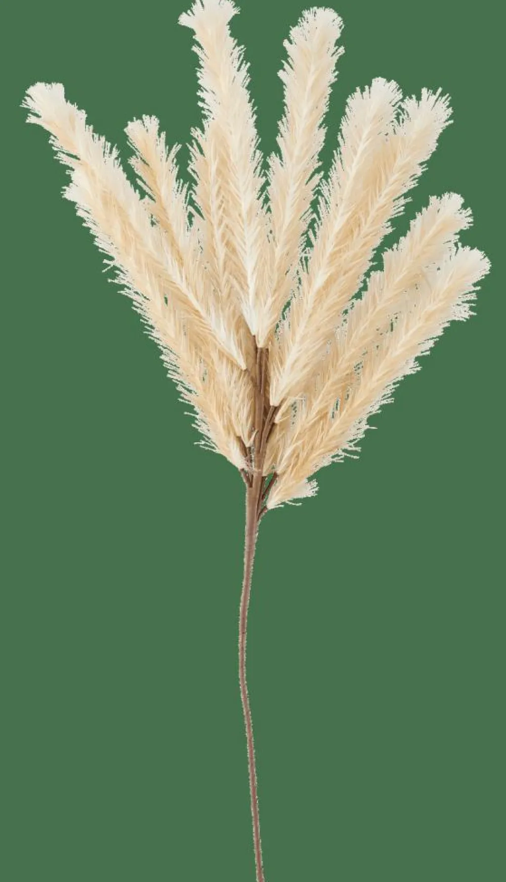 Branches Artificielles^CASA PLUME Plume Artificielle Beige