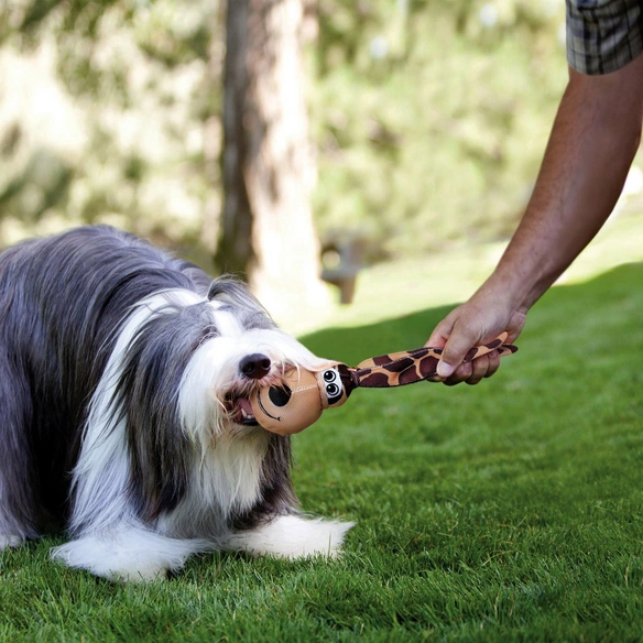 Hundespielzeug, mehrfarbig
