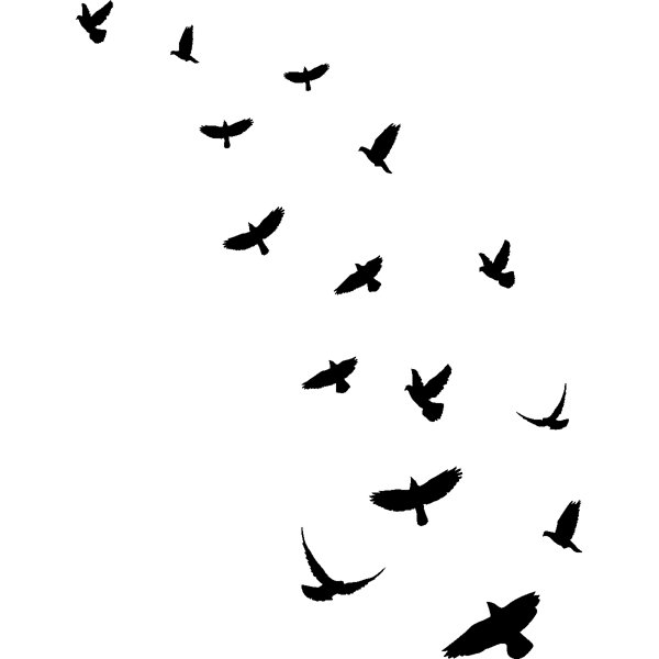 15 stickers oiseaux anti-collision translucide 115 x 115 cm