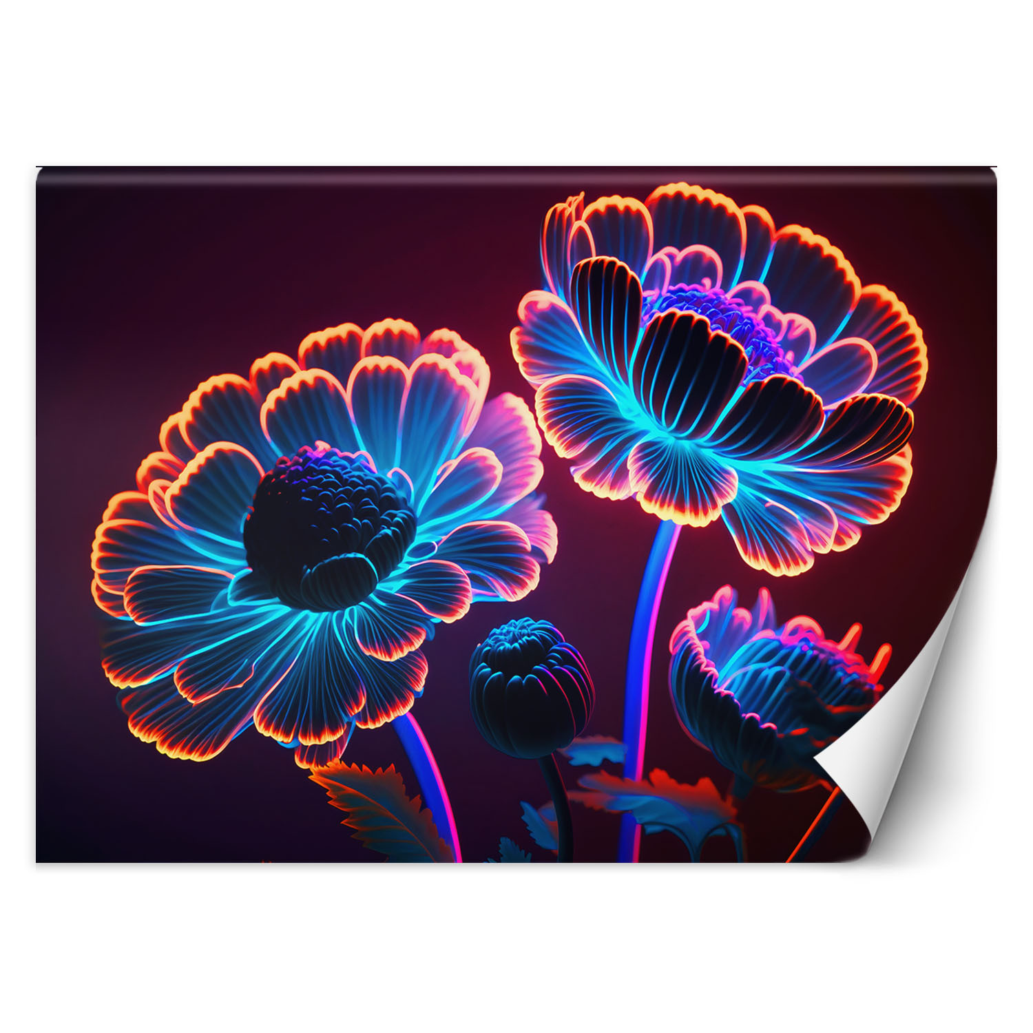 Feeby Fototapeta, Neonowe pączki kwiatów 150x105