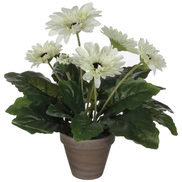 Kunstblume, Gerbera, weiß
