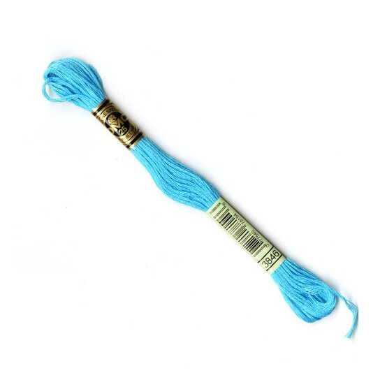 DMC Blue Mouline Special 25 Cotton Thread 8m (3846)