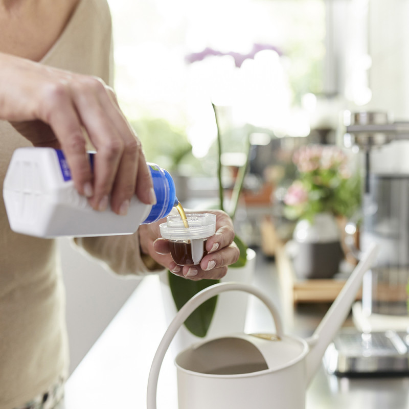 Engrais liquide pour orchidée 0,5 L COMPO