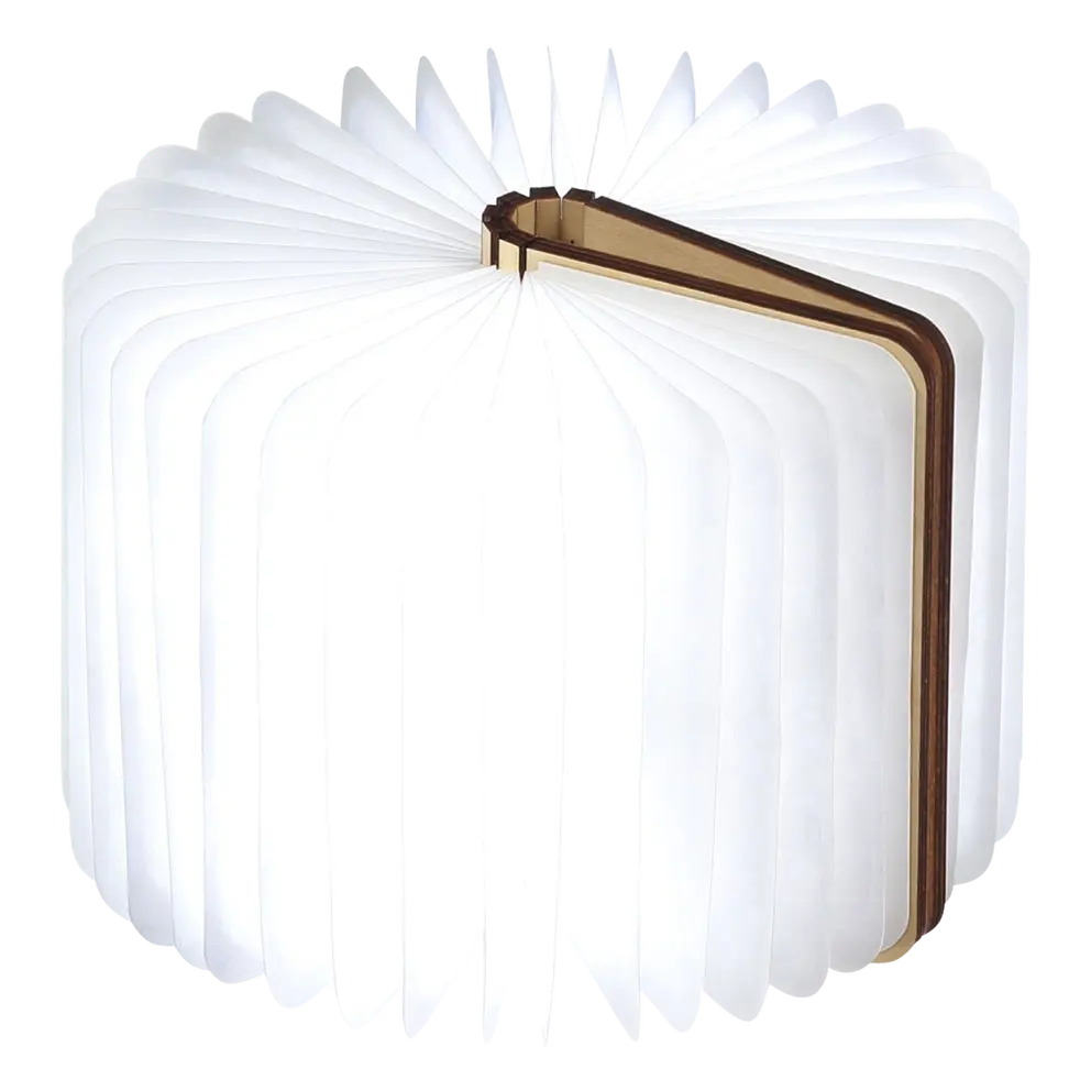 Tischleuchte Book Light