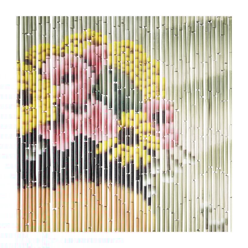 Deurgordijn Frida kahlo -200x90 cm