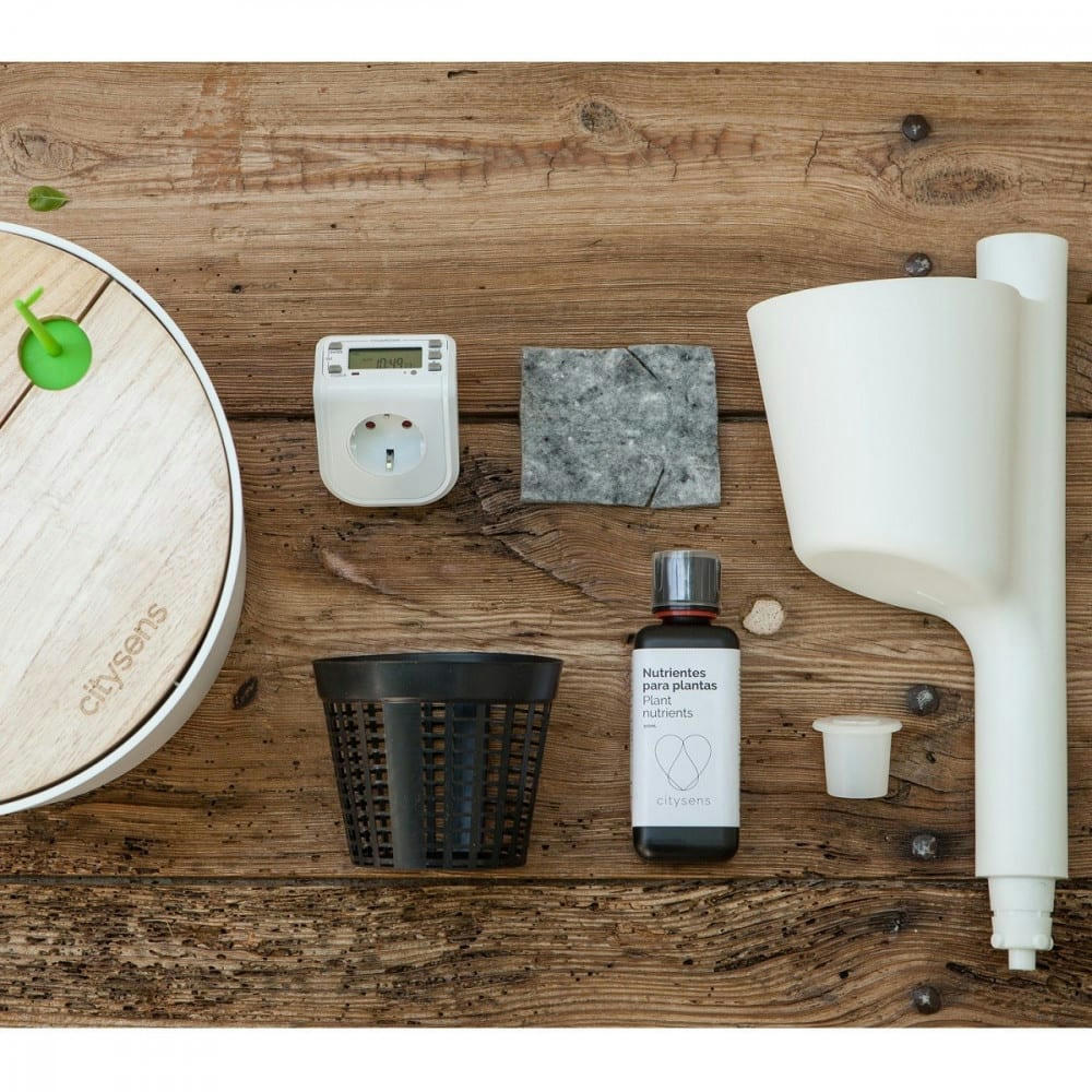 - Jardin d'intérieur avec 4 plantes placides bleues et arrosage auto