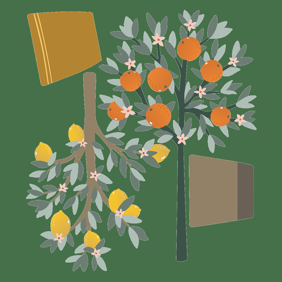 LOUISE - Grand sticker oranger et citronnier en vinyle mat multicolore