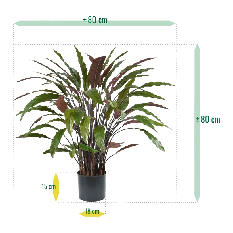 Kunstpflanze Calathea