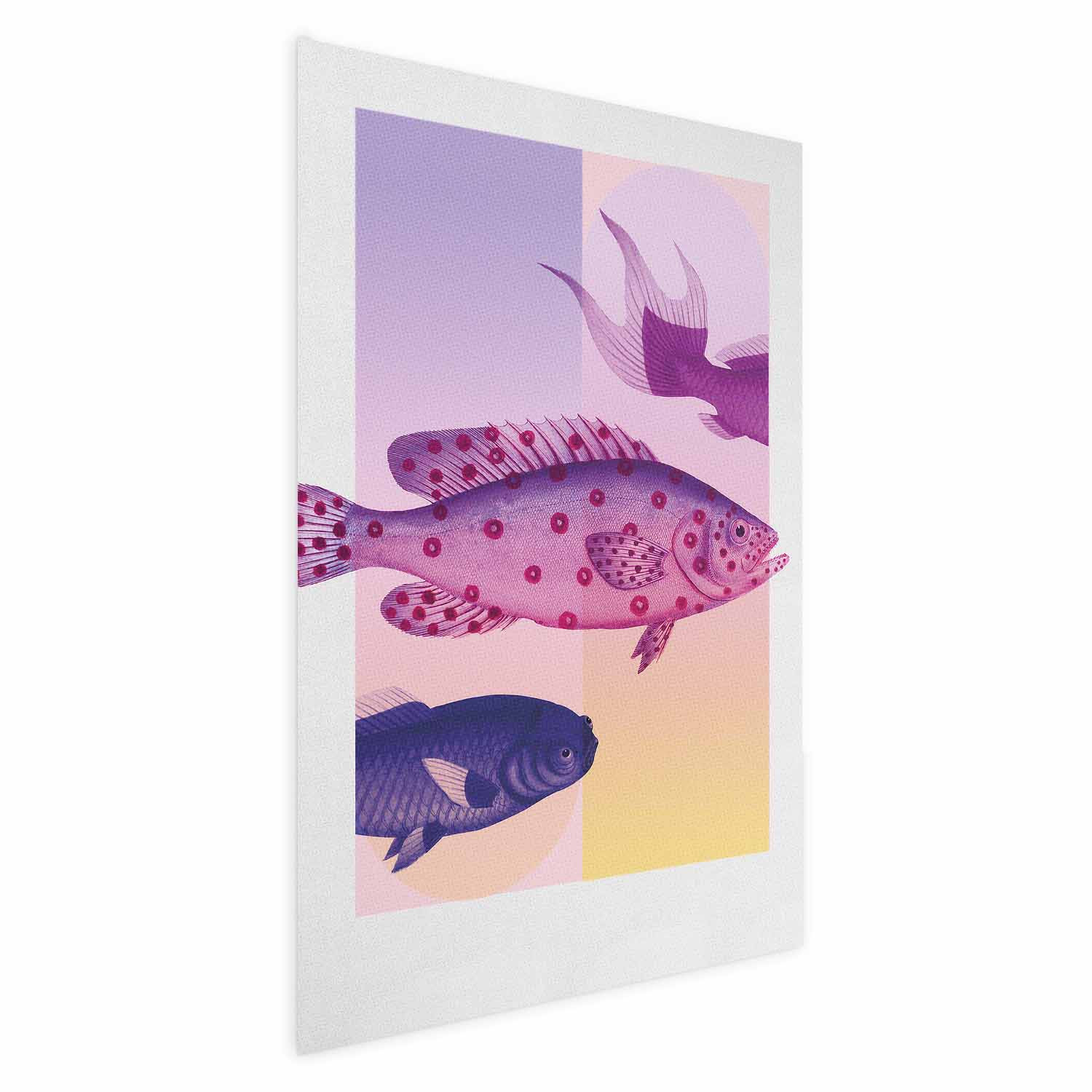 Plakat Fantazyjne Ryby 40x60 cm