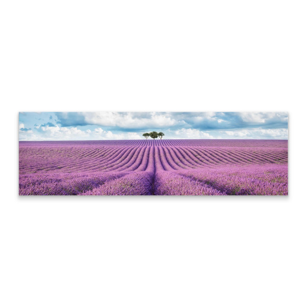 Obraz Panoramiczny Barwne Pole Lawendy 145x45cm
