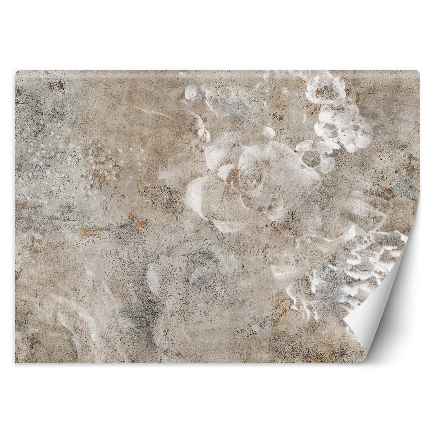 Feeby Fototapeta, Beton kwiat róży boho 150x105
