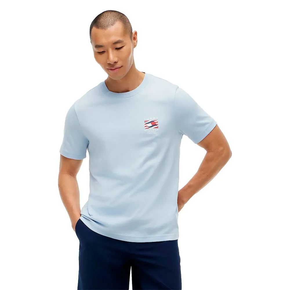 Tommy Hilfiger MW0MW43390 short sleeve T-shirt