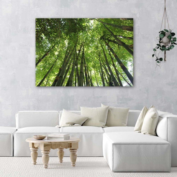 Feeby Obraz na płótnie Bambusowy las 60x40
