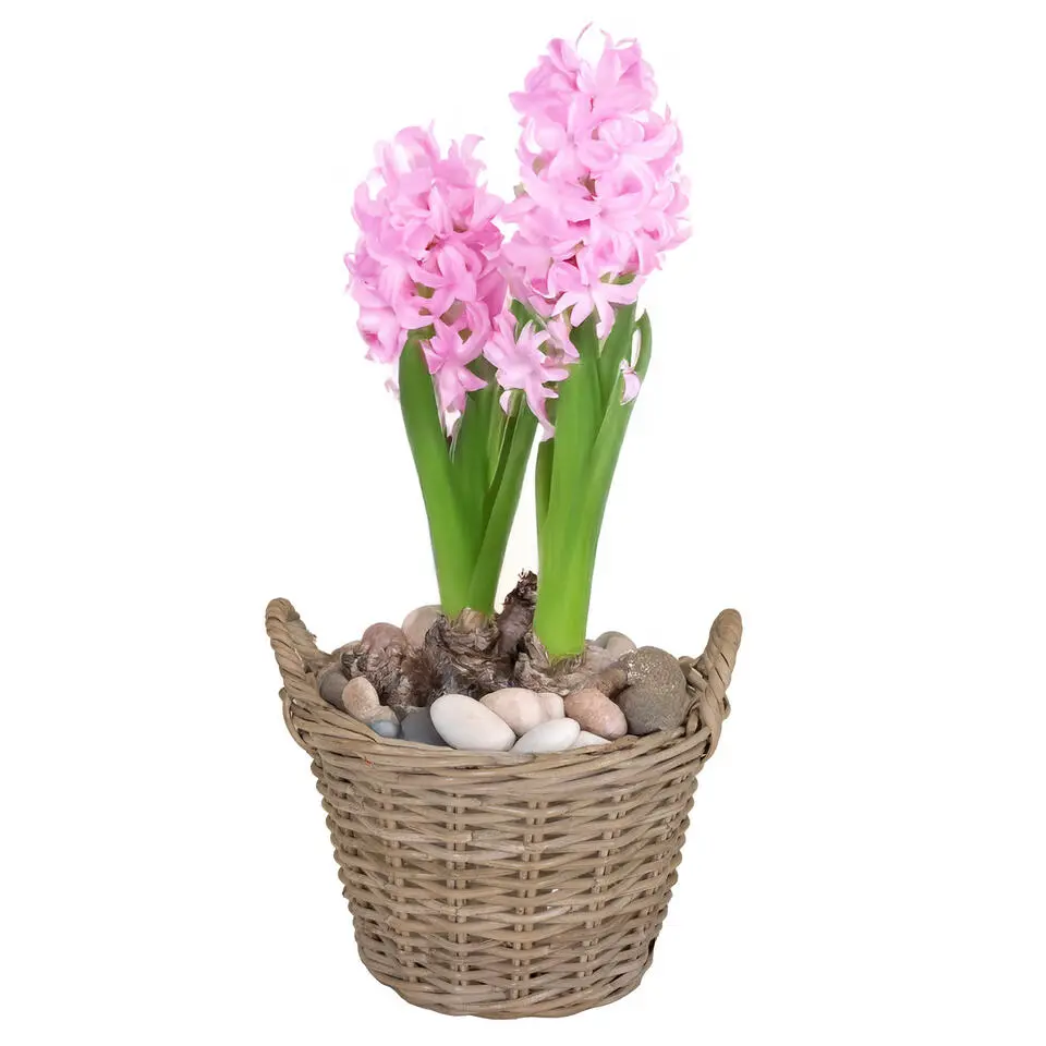 Mega Collections Plantenmand - rotan - naturel - D20 x H16 cm