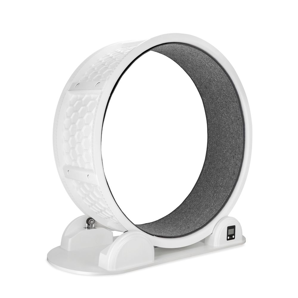 Modern Living Singapore Cat Exercise Wheel