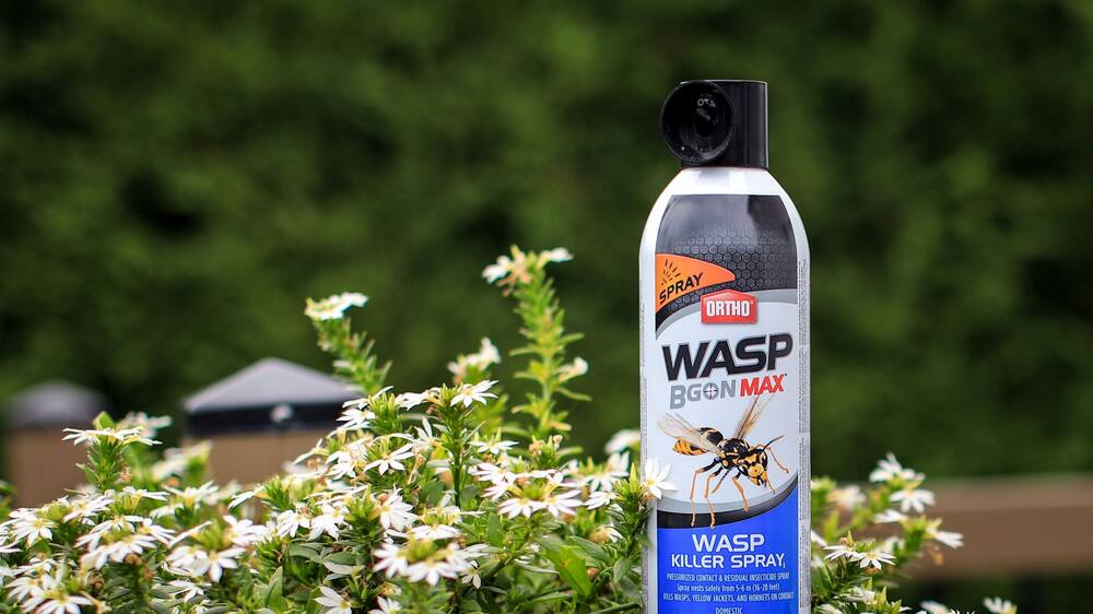 Ortho® Wasp B Gon™ MAX Wasp Killer Aerosol Spray, 400-g