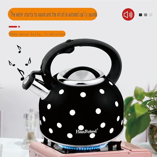 NNETM Whistling Tea Kettle Stainless Steel Stovetop (2.5L)