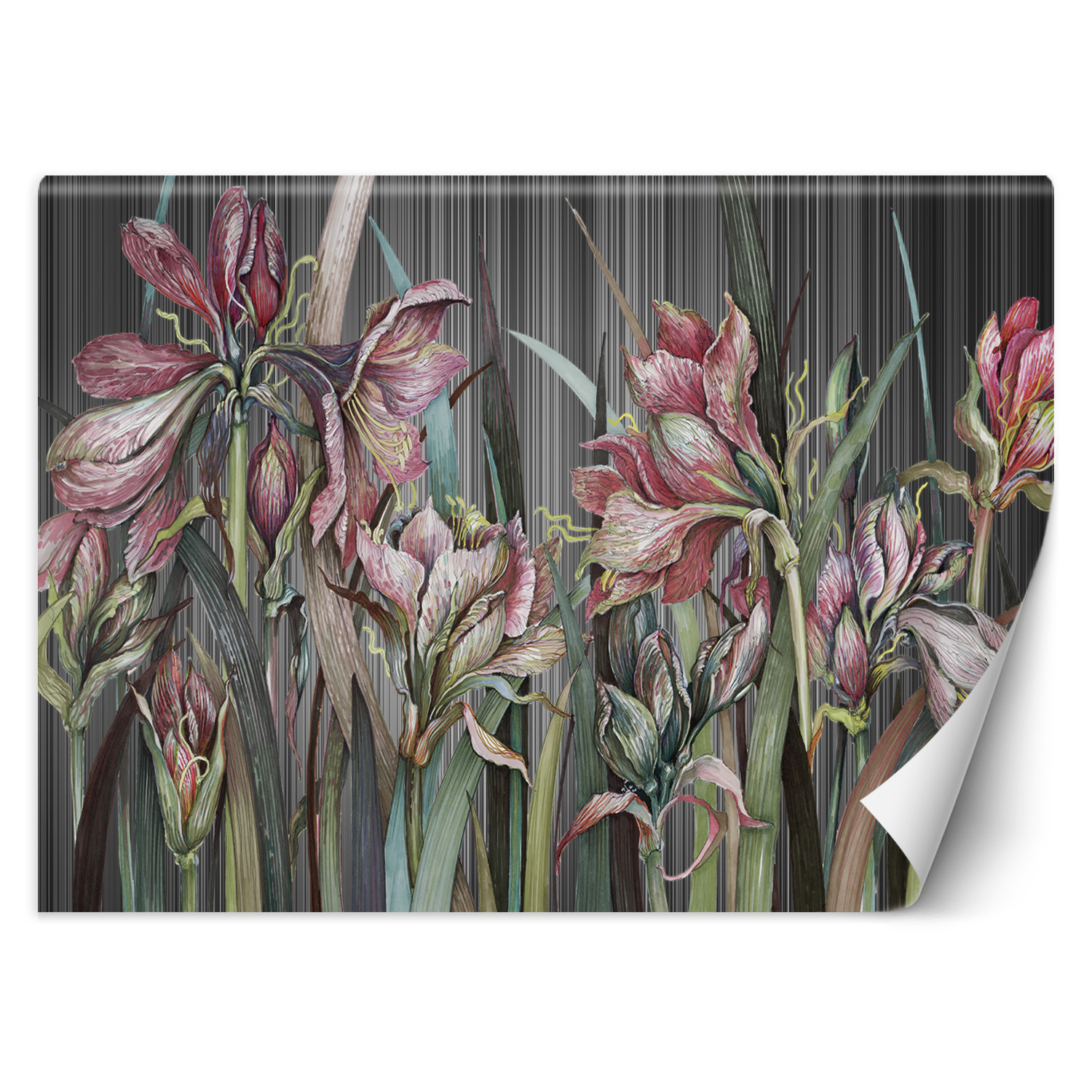 Feeby Fototapeta, Kwiaty Irysy 150x105