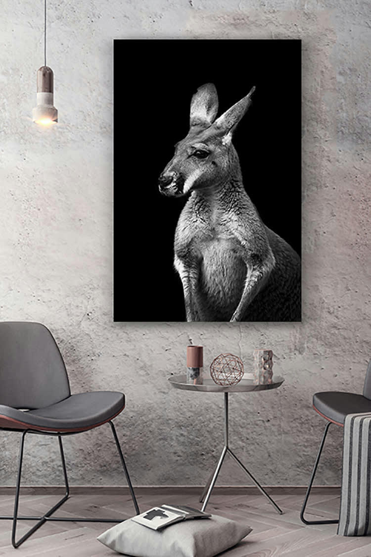 KANGOUROU SANS LUEUR - Photographie d'art de Guillaume Mordacq  60x90 cm sur plexi