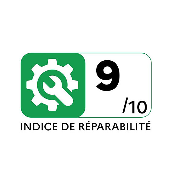 Aspirateur traineau 79db bleu Rowenta RO3950EA
