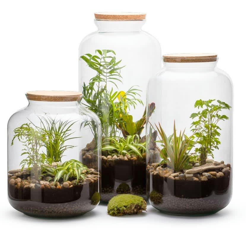 - Bonbonne en verre avec bouchon en liège 23 x 41 cm