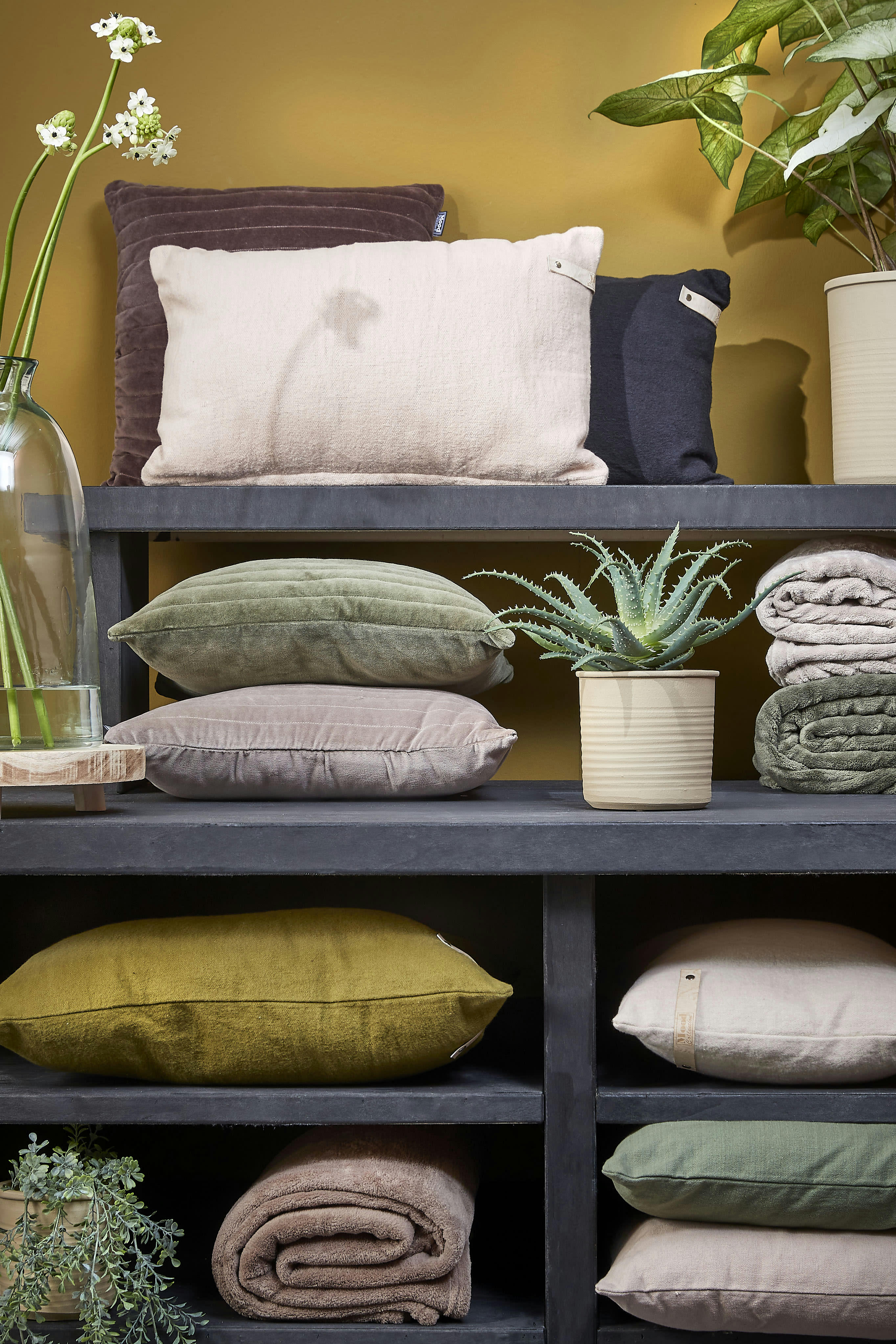 BALBOA - Coussin en coton taupe 45x45