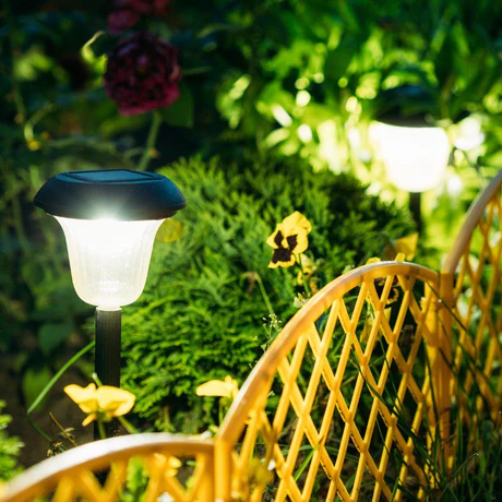 Garden Lights