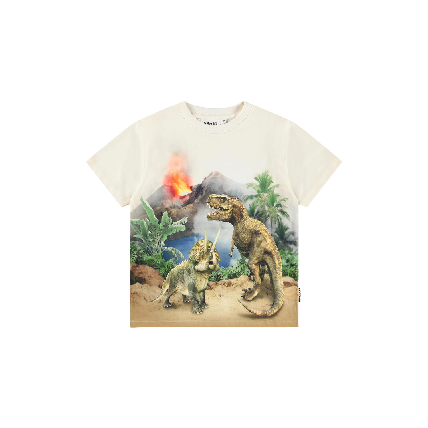 Riley T-shirt, hot spring dinos