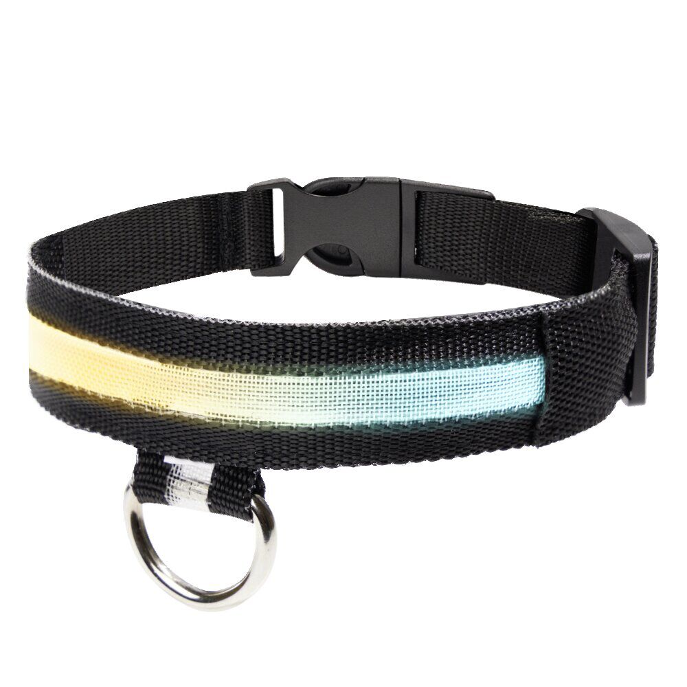 Collier LED pour chien vert L37-46cm - Taille M