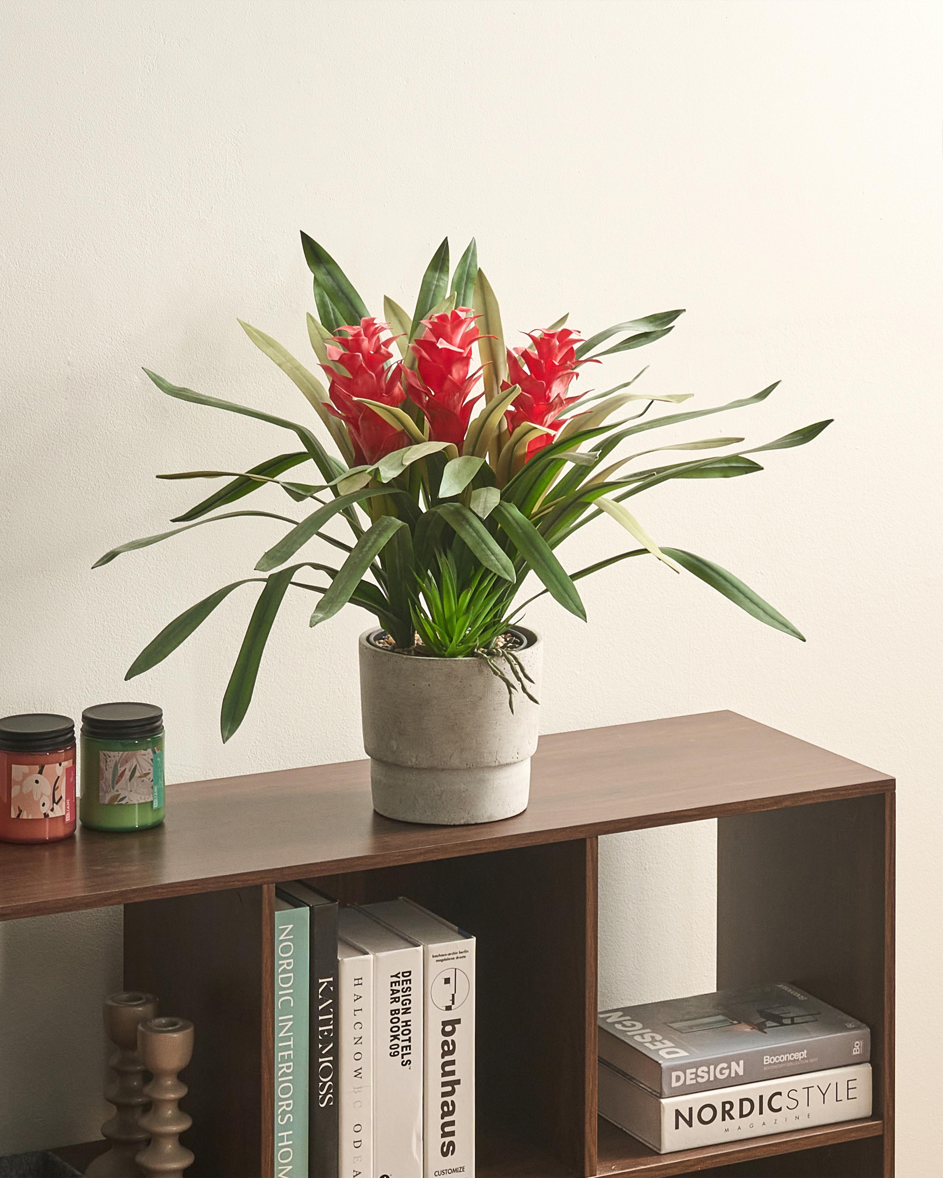 Artificial Plant GUZMANIA ATILLA 50 cm Green