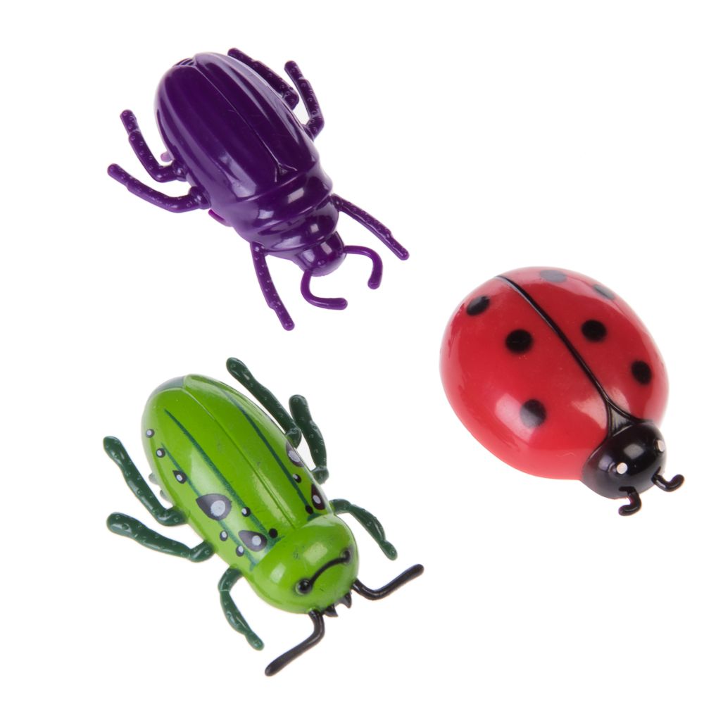 Insect Cat Toys