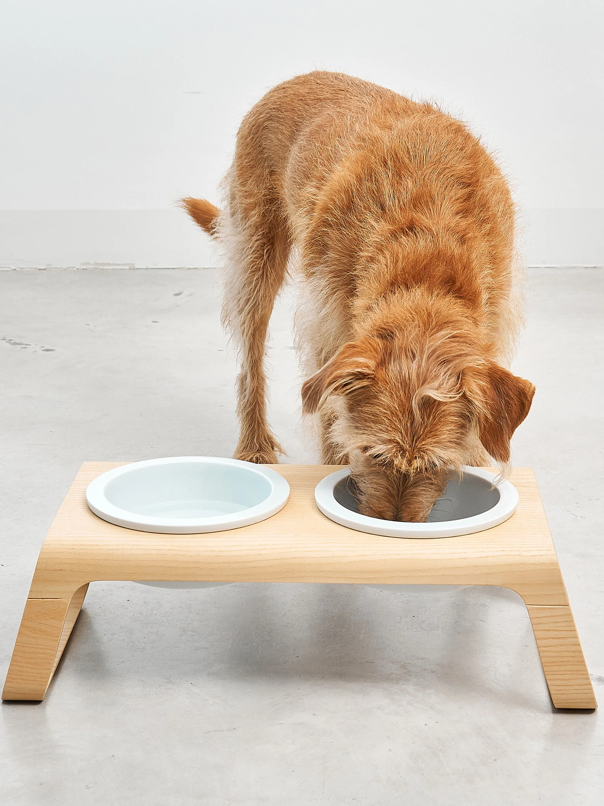 Hunde-Näpfe Desco mit Ständer, H 17 cm