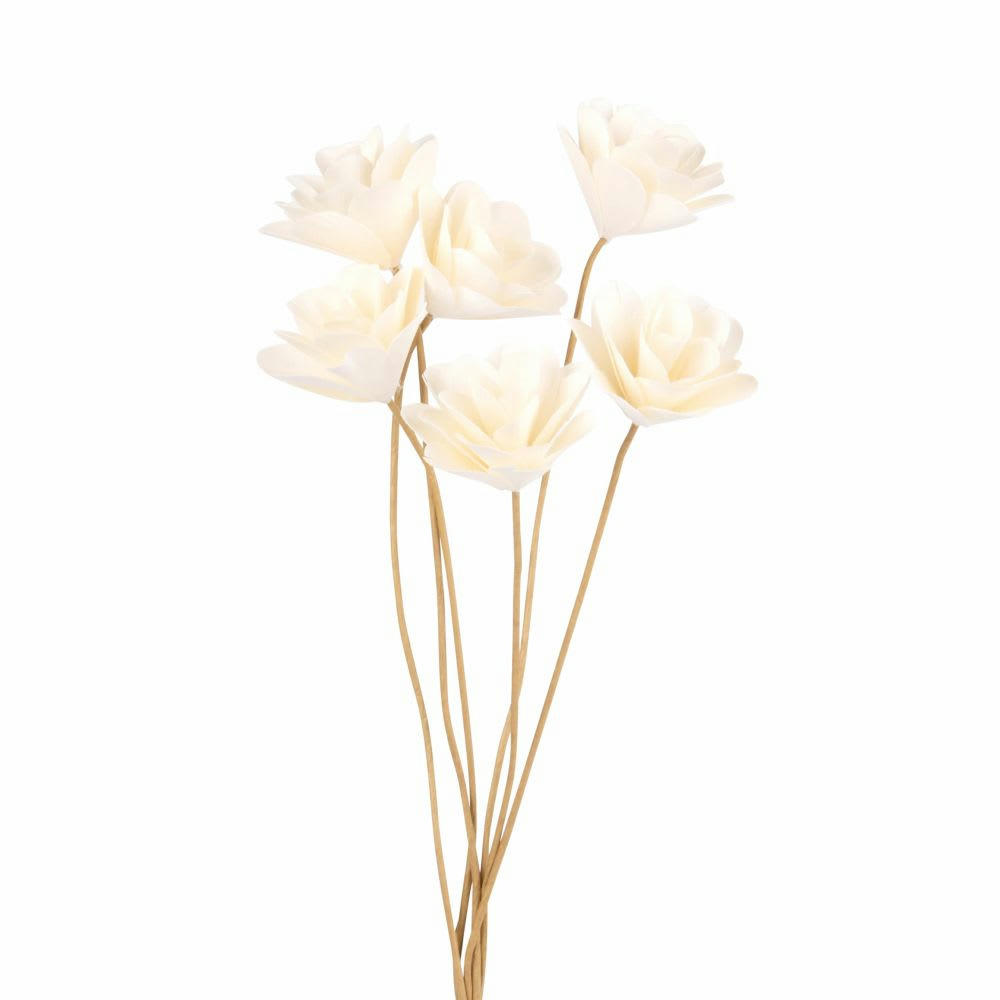 - Roses blanches en papier