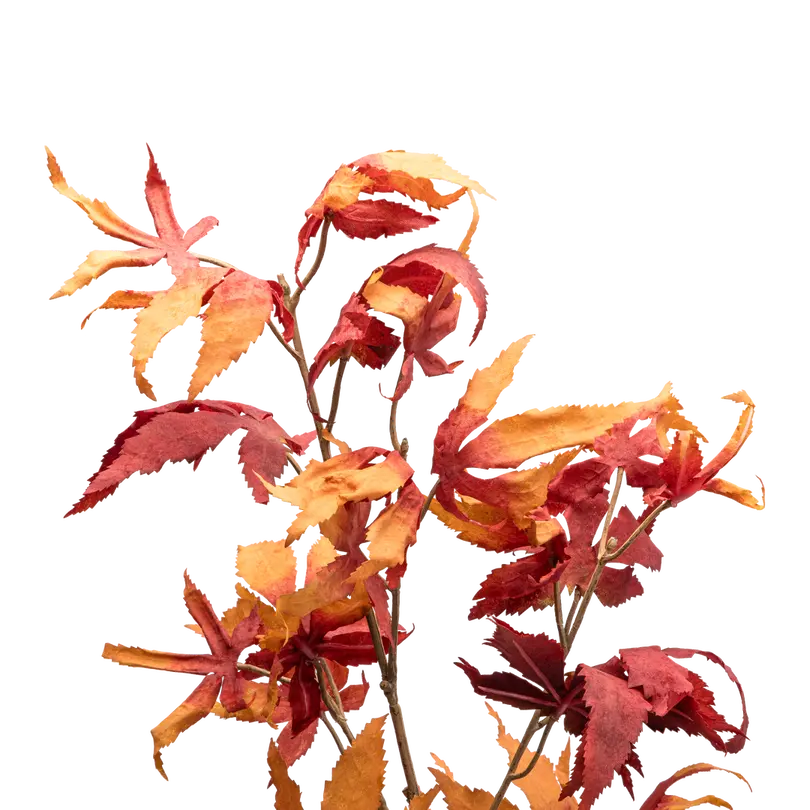 Dekozweig Dried-Grass