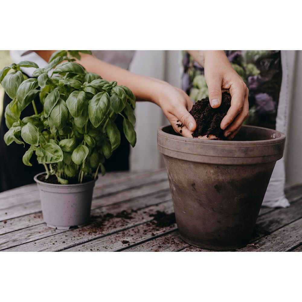 URTE- & GRØNNSAKSJORD NELSON GARDEN 40L