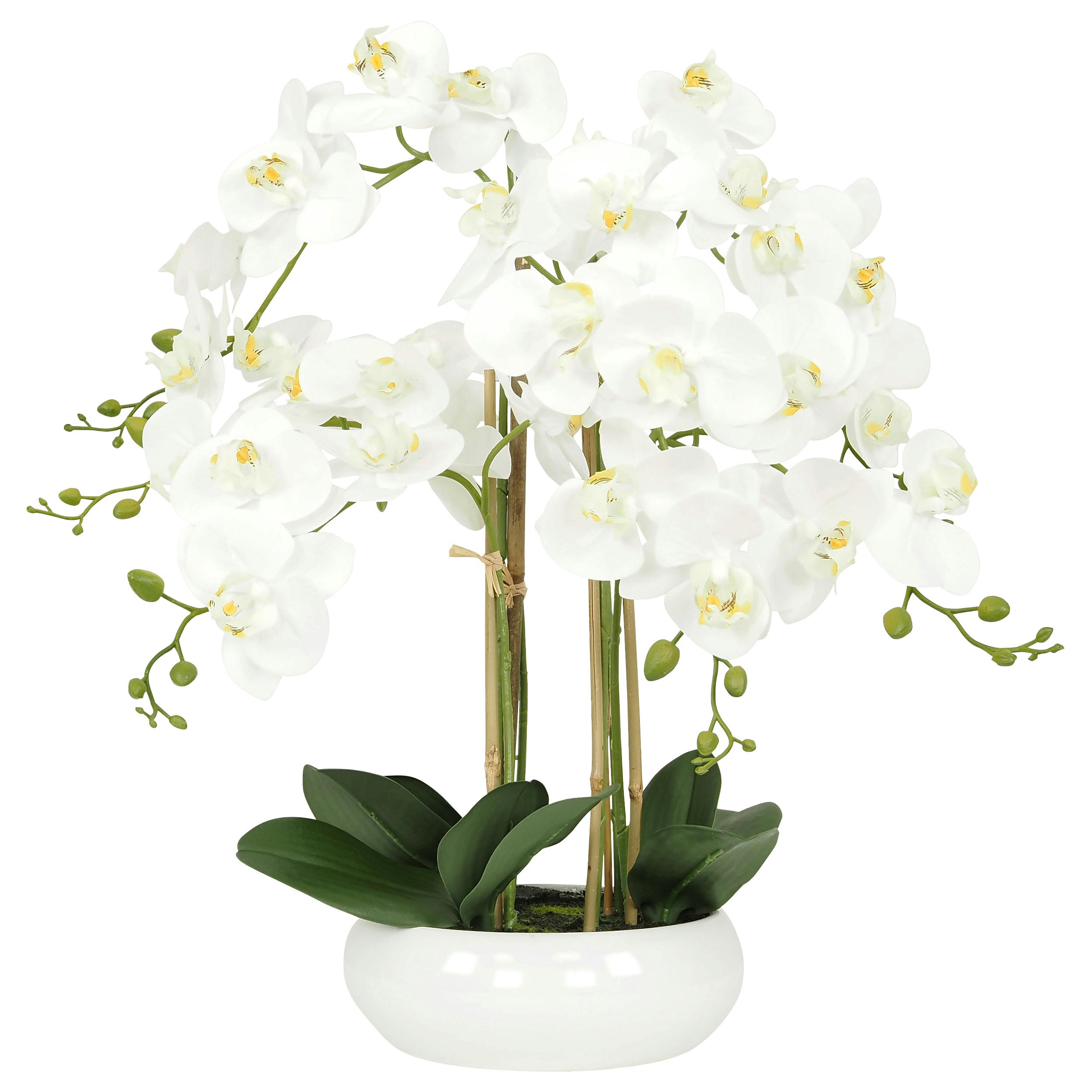 - Orchidées artificielles blanche 55cm