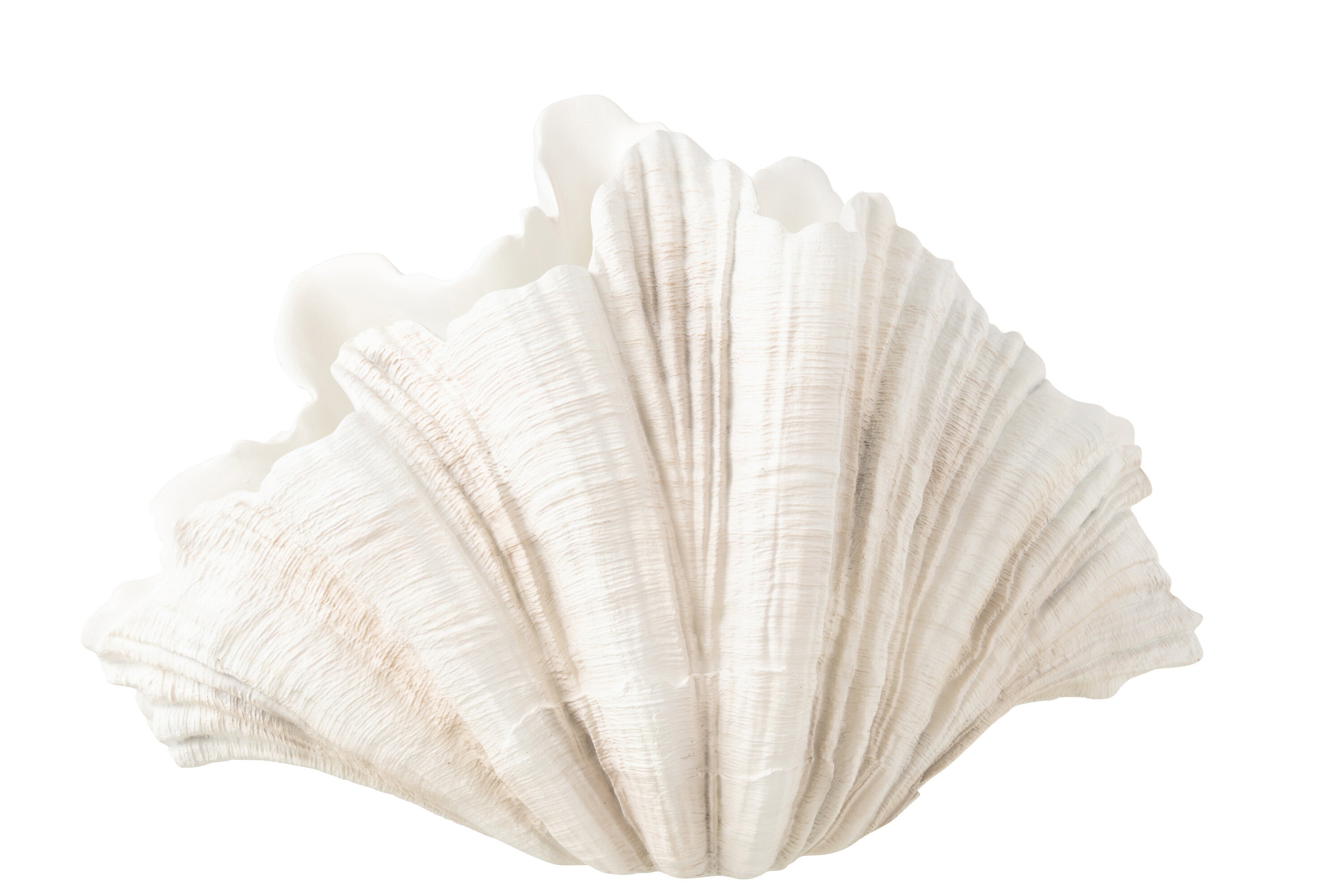 J-Line decoratie Mossel Schelp - polyresine - gebroken wit